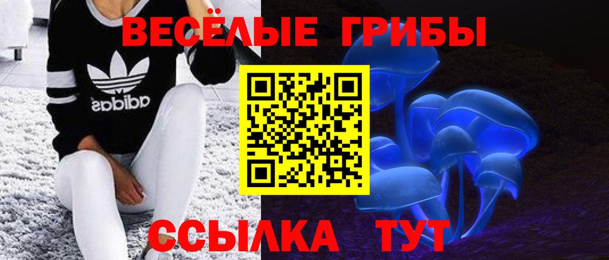 Галлюциногенные грибы прущие грибы Бутурлиновка